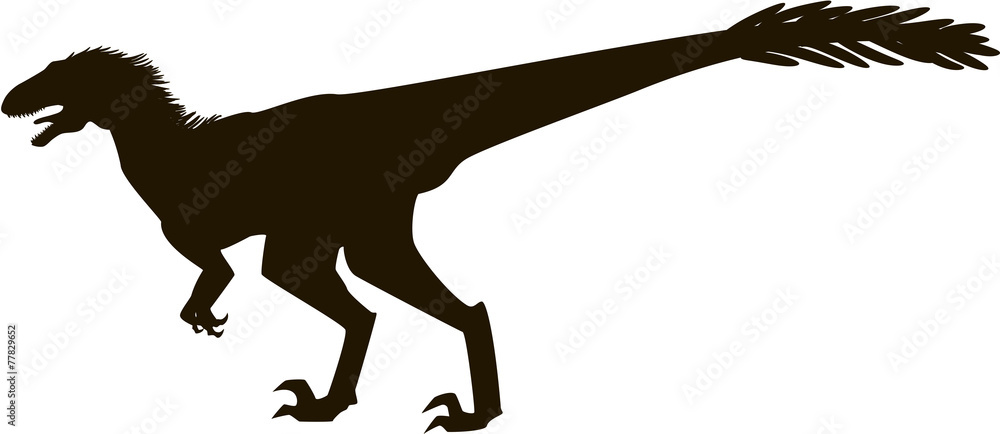 Velociraptor with feathers silhouette Velociraptor with feathers silhouette