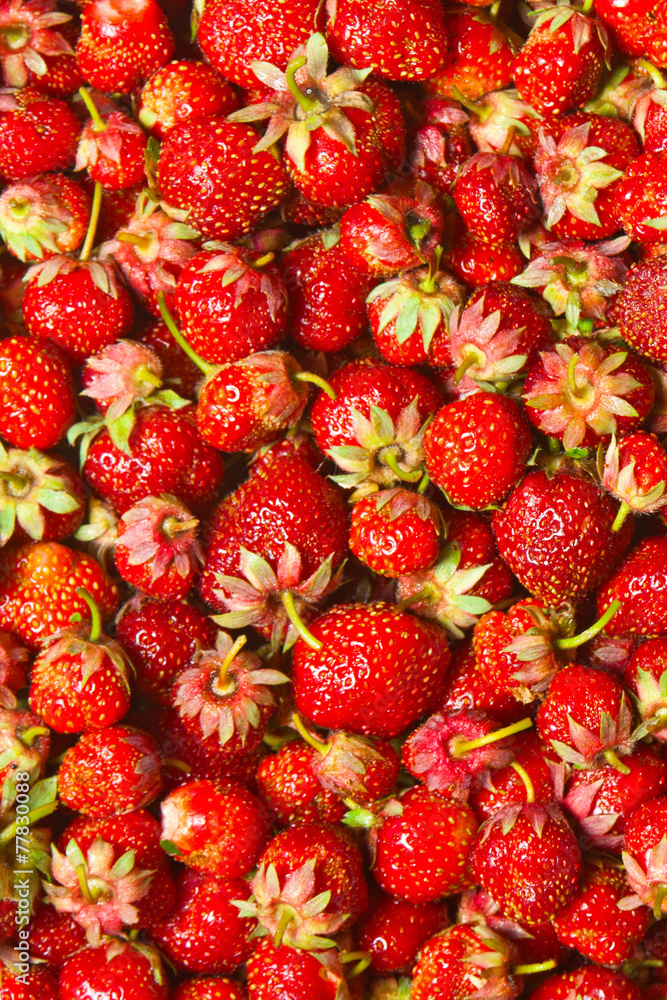 strawberry strawberry