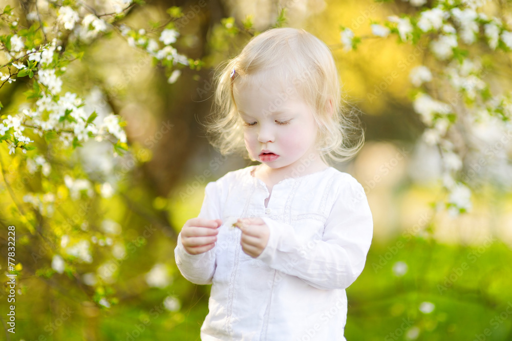Adorable toddler girl in blooming cherry garden Adorable toddler girl in blooming cherry garden