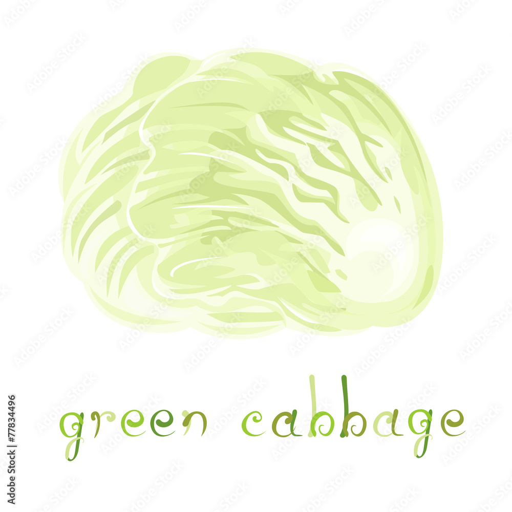 Green Cabbage Green Cabbage