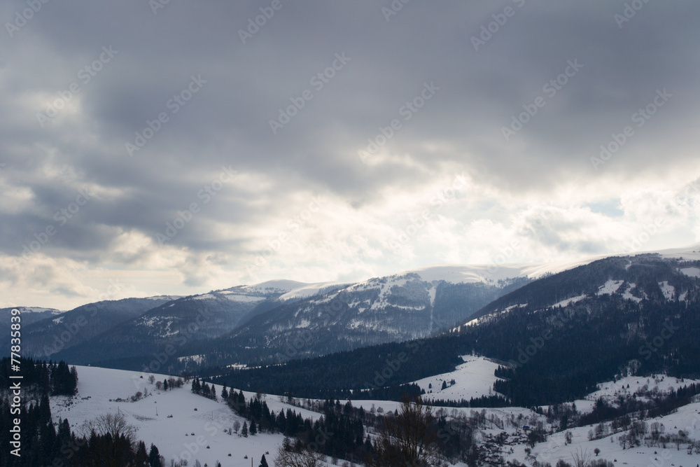 Снег горы зима Карпаты
