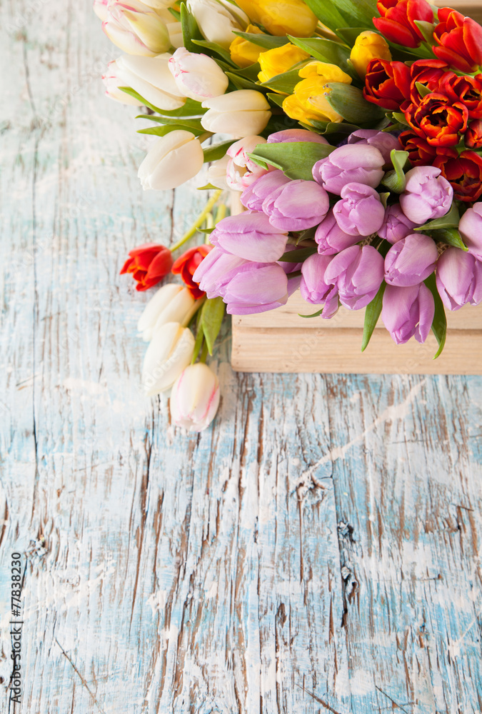 Colored tulips on wooden planks