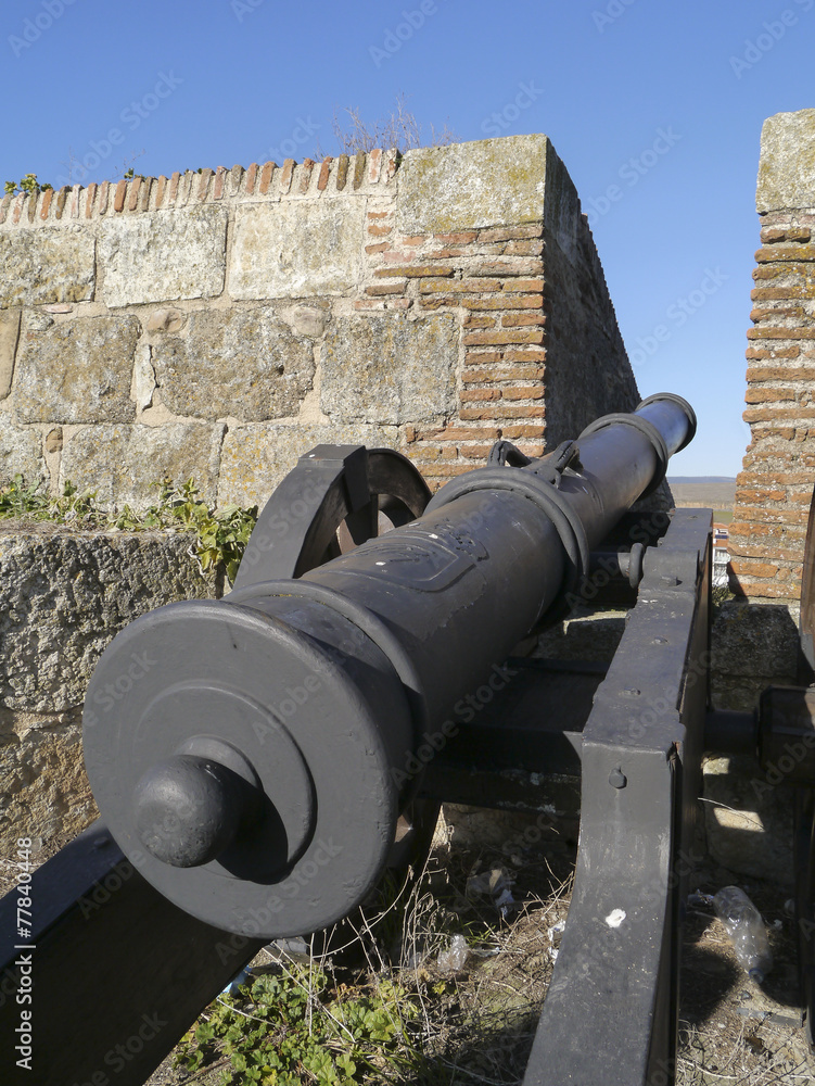 Defense cannon