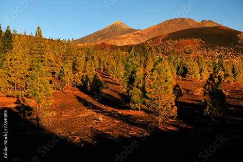 Foto Las Canadas del Teide National Park, Tenerife, Canary Islands, Spain