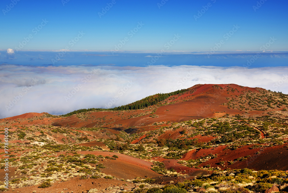 El Teide National Park, Tenerife, Canary Islands