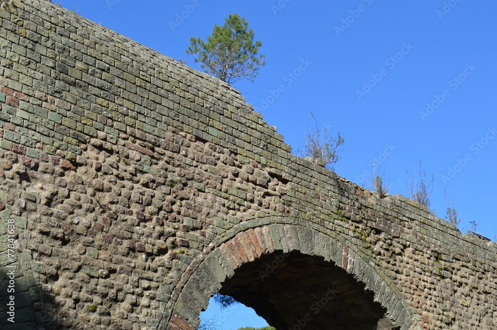 Obraz premium aqueduc Fréjus6