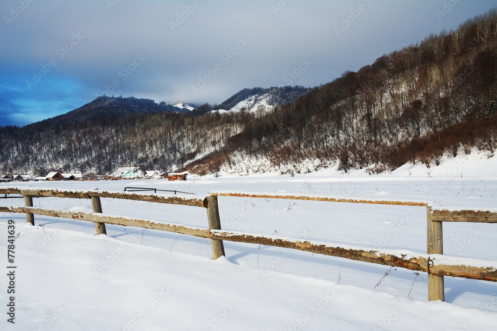 custom made wallpaper toronto digitalEnclosure of a meadow
