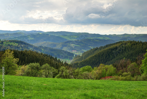 Green forest and valley highland landscape