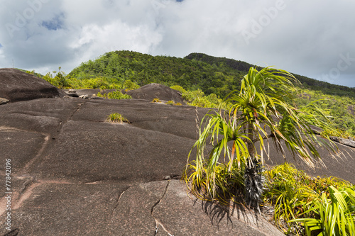 Mount Copolia, Mahe, Seychelles photo