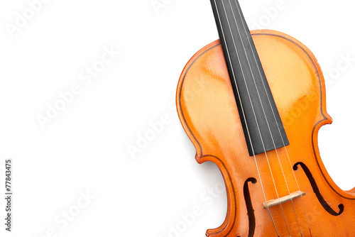 violin on white background