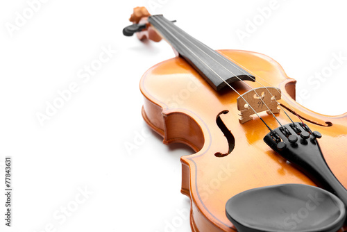 violin on white background