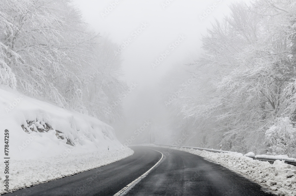 Obraz premium Rural road in winter. Trees covered by the snow and fog