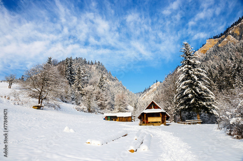 Winter landscape in Pieniny Mountains, Three Crowns, Poland © dziewul