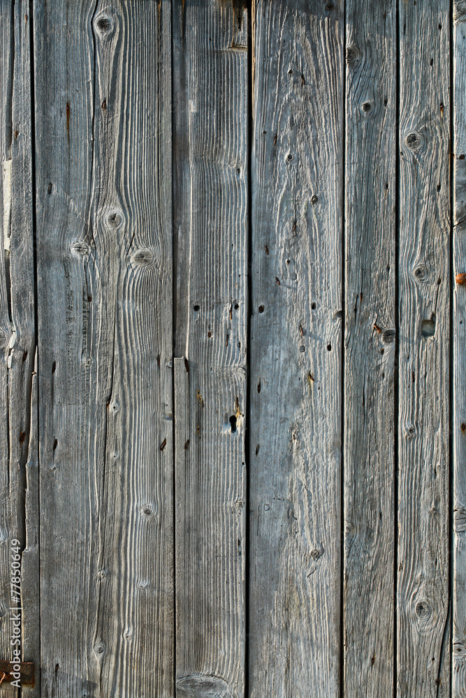 Naklejka premium Portone vecchio in legno