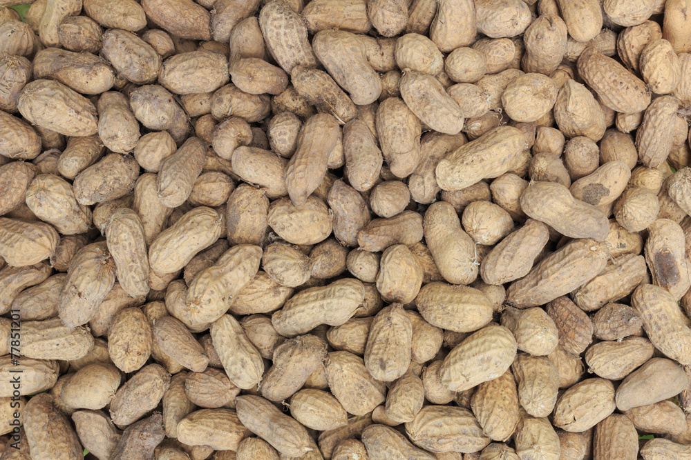 Peanut background Peanut background