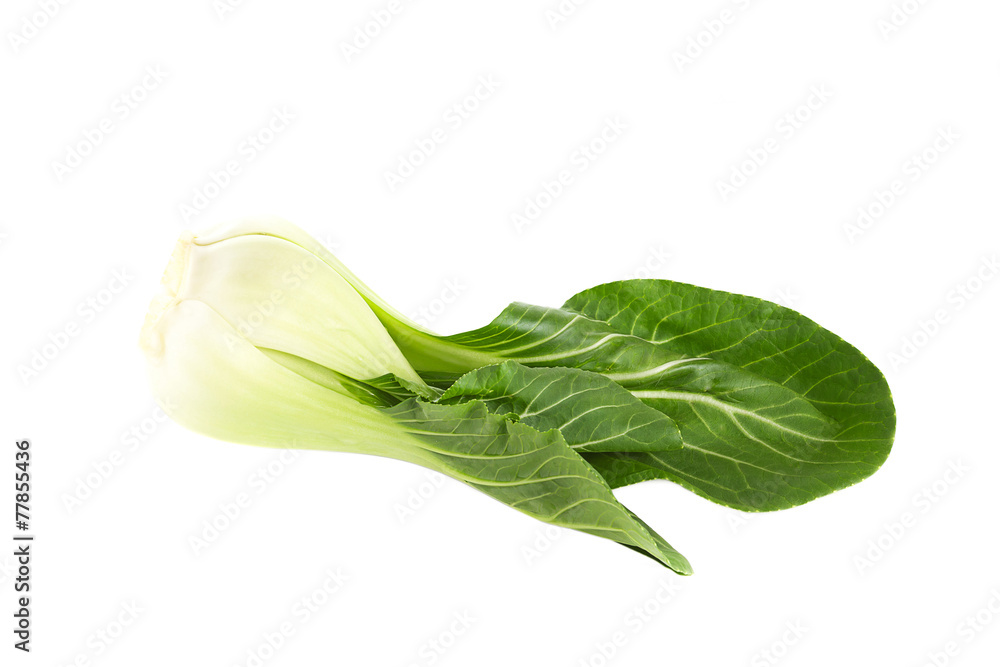 Organic bok choy on white background