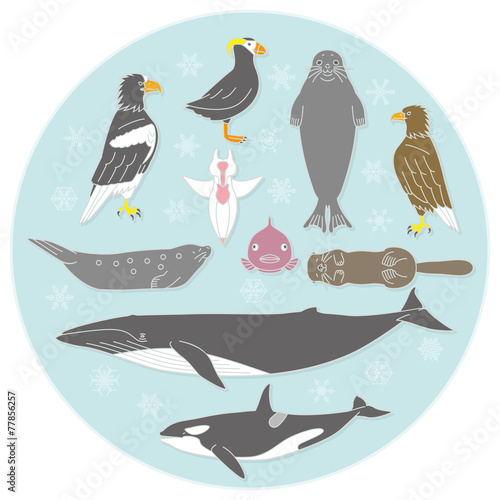 北国の海辺の生き物