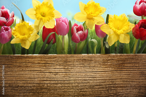 Fototapeta Naklejka Na Ścianę i Meble -  Fresh flowers with blank wooden board