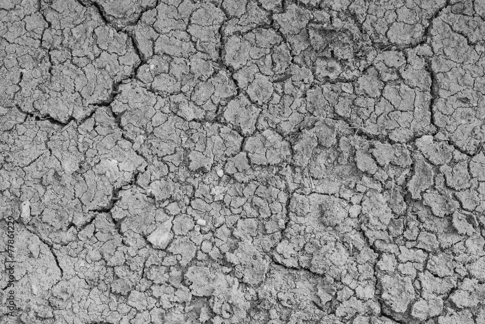 Dry crack soil on dry season, Global worming effect. Dry crack soil on dry season, Global worming effect.