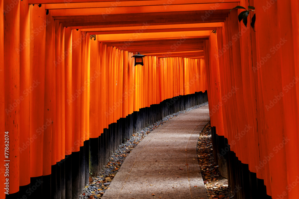 Fototapeta premium Fushimi Inari Shrine
