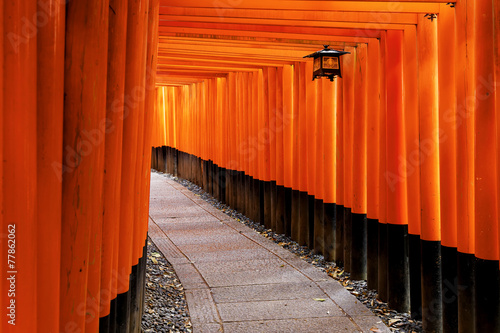 Fushimi Inari Shrine photo