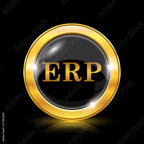 ERP icon