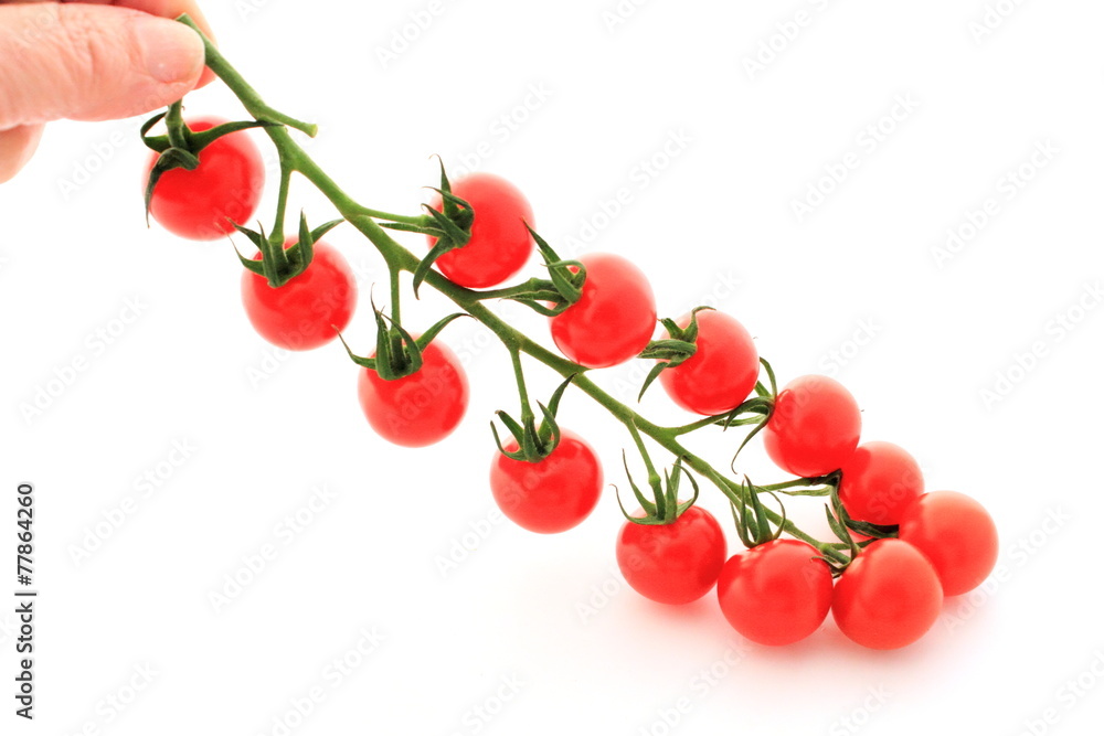 Tomates cerises Tomates cerises