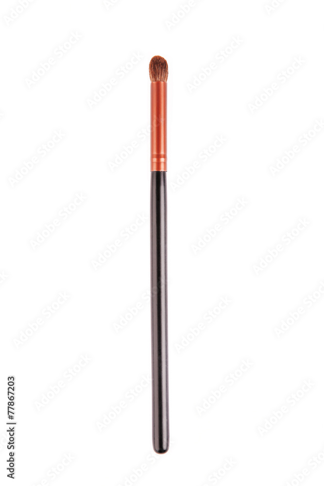 Makeup Brush Isolated Makeup Brush Isolated