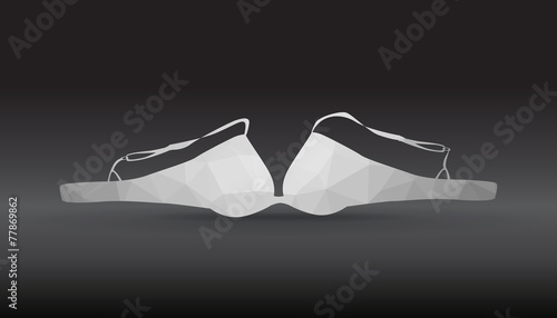 Bra from polygons, illustration