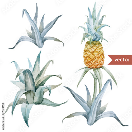 watercolor, tropical, pineapple, exotic, pattern