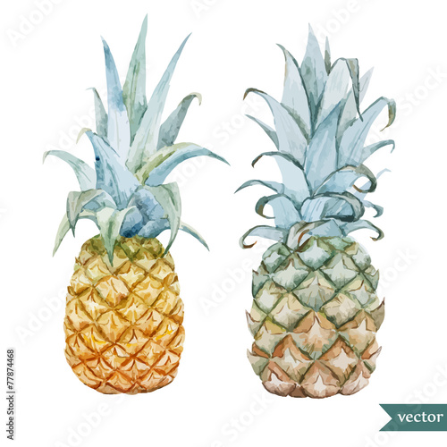 watercolor, tropical, pineapple, exotic, pattern