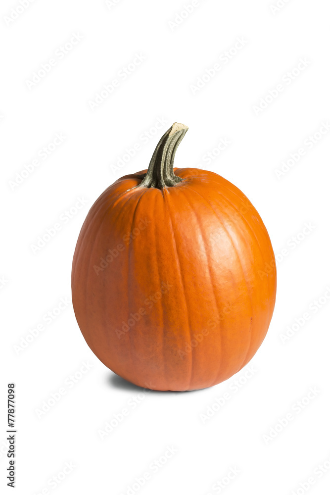 Obraz premium Pumpkin