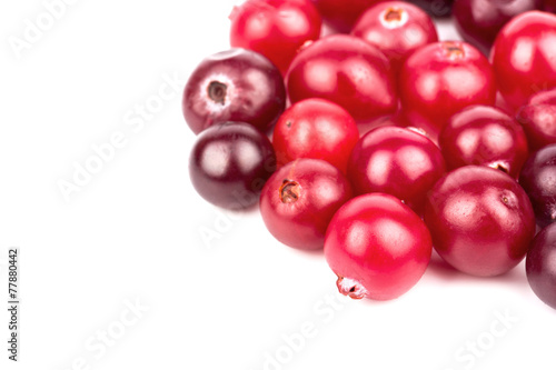 Cranberry