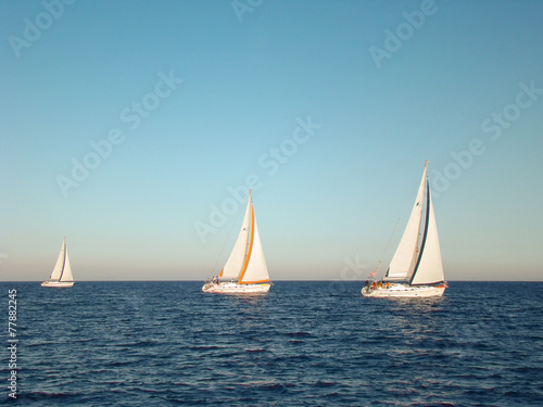 Yacht race in open water in the sea