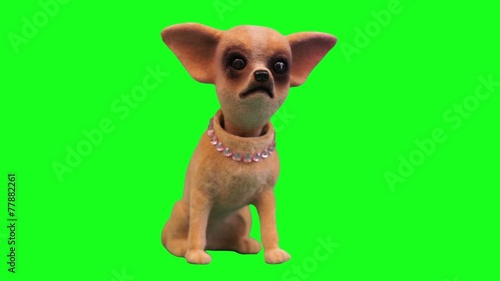 Green Screen Chi-hua toy dog accessory for cars