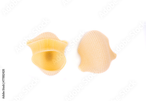 Italian pasta shells.