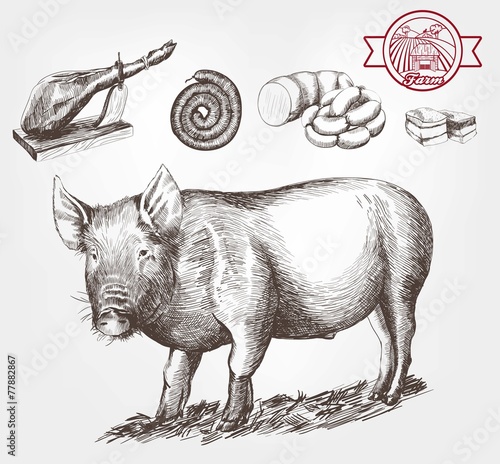 pig-breeding