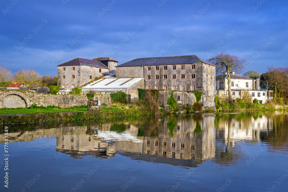 Irish stone architecture with reflection in the river, Askeaton