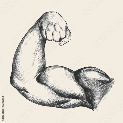 Sketch illustration of muscular human male right arm