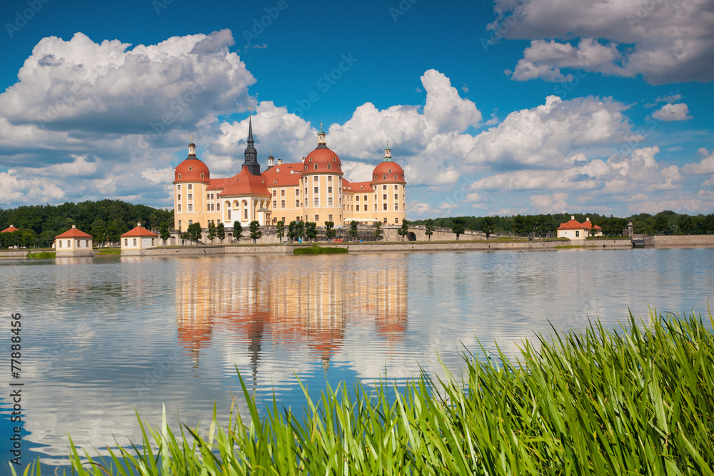 Fototapeta premium Schloss Moritzburg bei Dresden