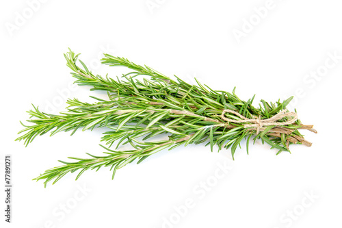 Bunch of rosemary wtih a rope bow isolated on white