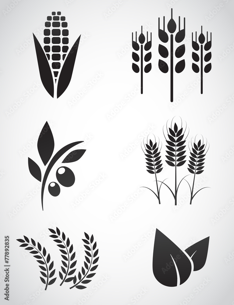 Plantation vector icon set. Plantation vector icon set.