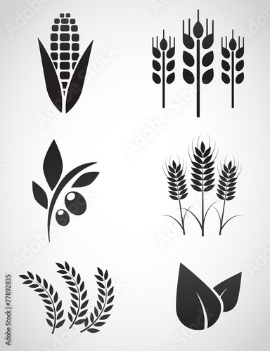 Plantation vector icon set.
