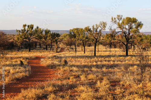 Canvas-taulu Paysage désertique rouge en Australie