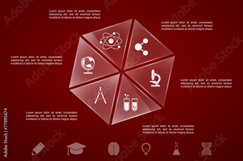 education infographic template