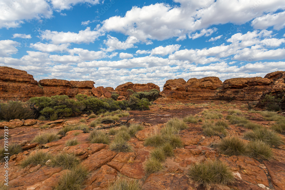 Obraz premium Kings canyon