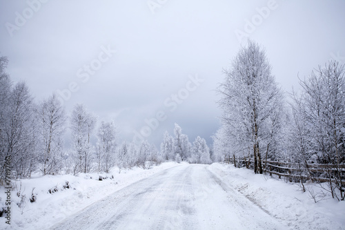 Winter road © erika8213