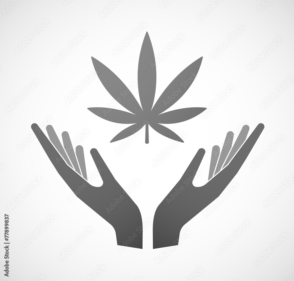 Two hands offering a marijuana leaf Two hands offering a marijuana leaf
