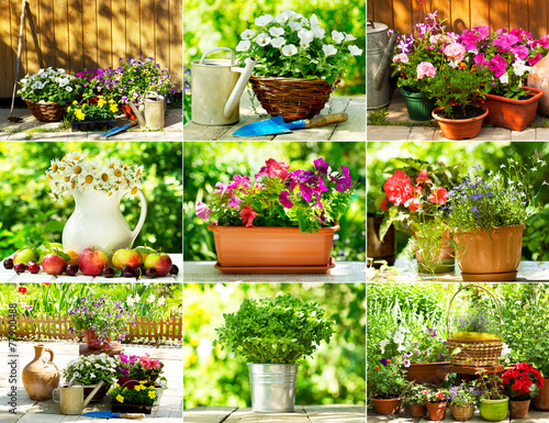Fototapeta Naklejka Na Ścianę i Meble -  collage of summer flowers