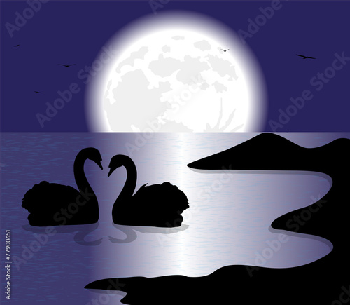 silhouette di cigni sul lago